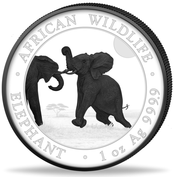 Somalia X Shilling Elefant African Wildlife Black White