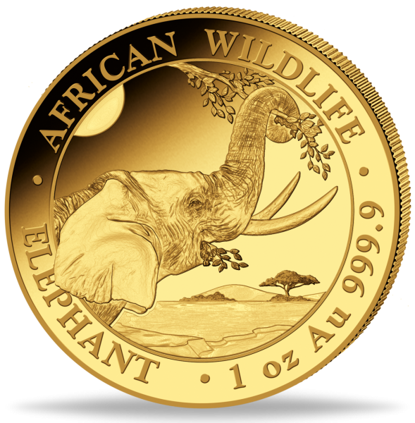 Somalia 1.000 Shilling Elefant 1 Unze Gold 2023 - Münze Vorderseite