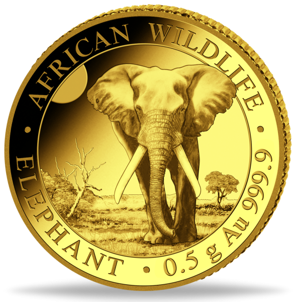 71605492025 10_0_5g_African_Wildlife_Elephant_2025_VS