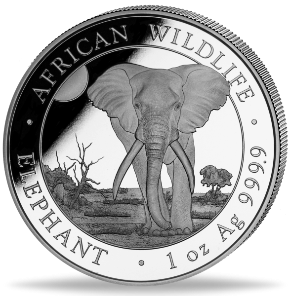 Somalia 100 Shilling Elefant African Wildlife 1 Unze Silber Münze Vorderseite