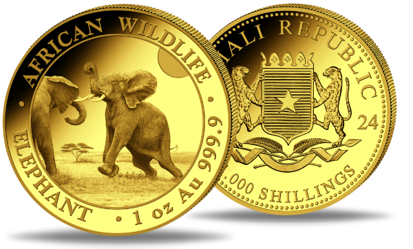 elefant-2024-african-wildlife-1-oz-gold