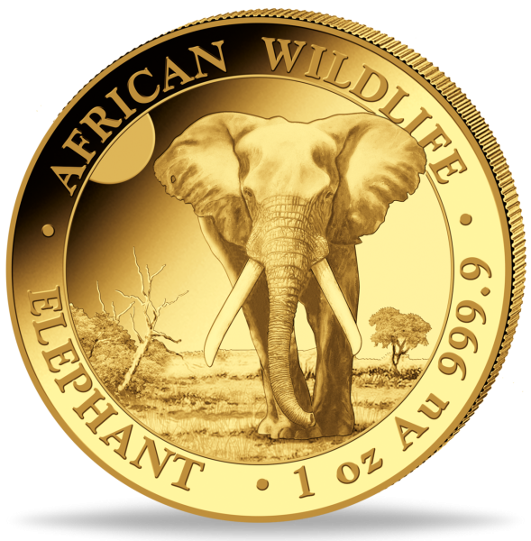 1.000 Shilling Somalia Elefant 1 Unze Gold 2025 - Münze Vorderseite