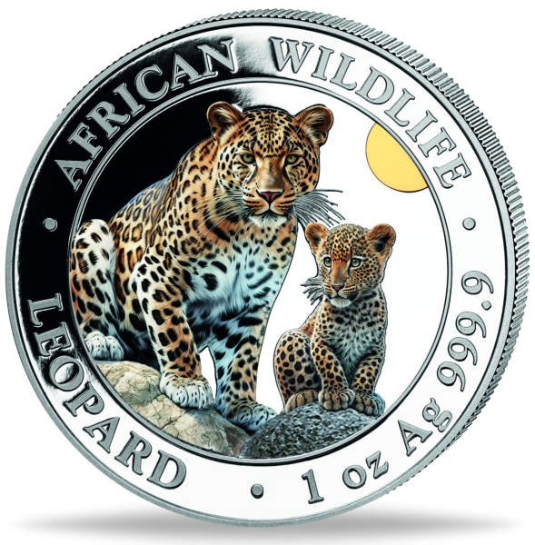 100 Shilling Leopard mit Farbapplikation 2024 - Münze Vorderseite