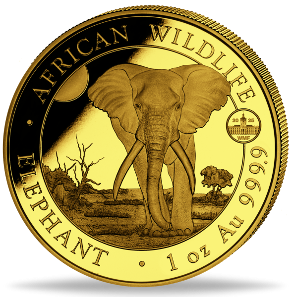 1.000 Shilling Elefant WMF African Wildlife 1 Unze Gold 2025 - Münze Vorderseite