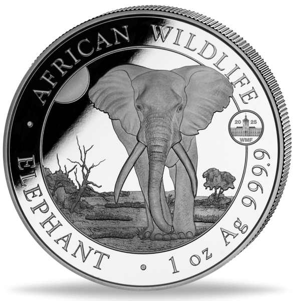 100 Shilling Elefant WMF African Wildlife 1 Unze Silber 2025 - Münze Vorderseite