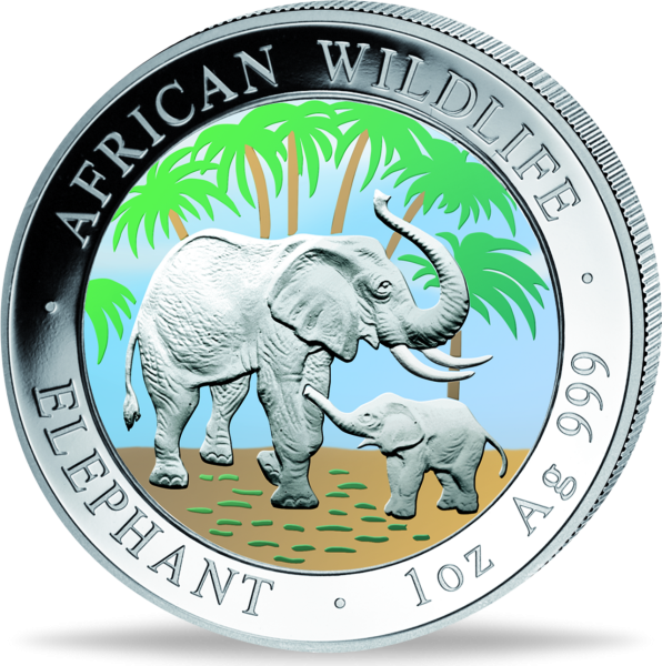 Somalia, 100 Shilling Elefant 2007, African Wildlife, Münze Vorderseite