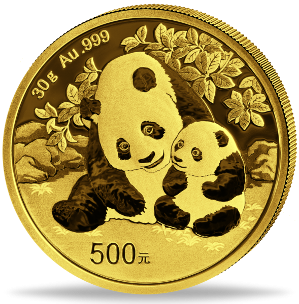 China 500 Yuan Panda 30 Gramm Gold 2024 - Münze Vorderseite