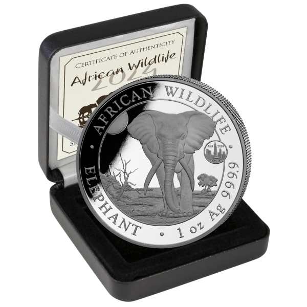 100 Shilling Elefant 1 Unze Silber - Münze in Kassette