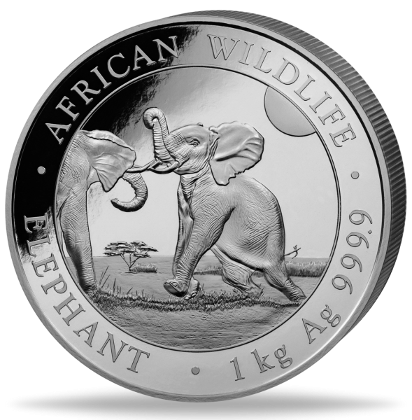 Somalia Elefant African Wildlife 2024 1kg Silber 2024 - Münze Vorderseite