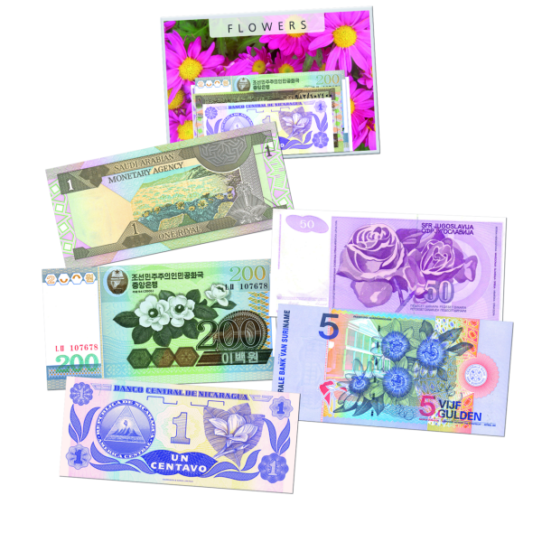 Banknoten-Satz Blumen