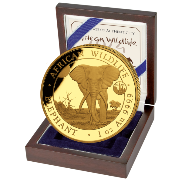 100 Shilling Elefant 1 Unze Gold - Münze in Kassette